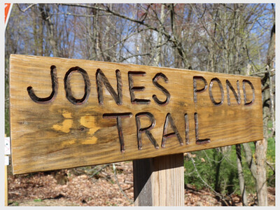 A Walk with Your Local Mayors