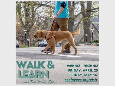 Walk & Learn with The Seeing Eye