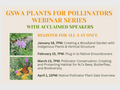 GSWA Plants for Pollinators Webinar Series -FREE