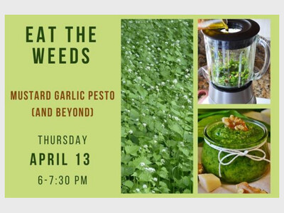GSWA Evening Briefing: “Eat the Weeds” Backyard Foraging