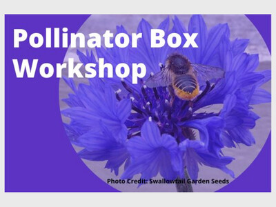 GSWA Pollinator Box Workshop